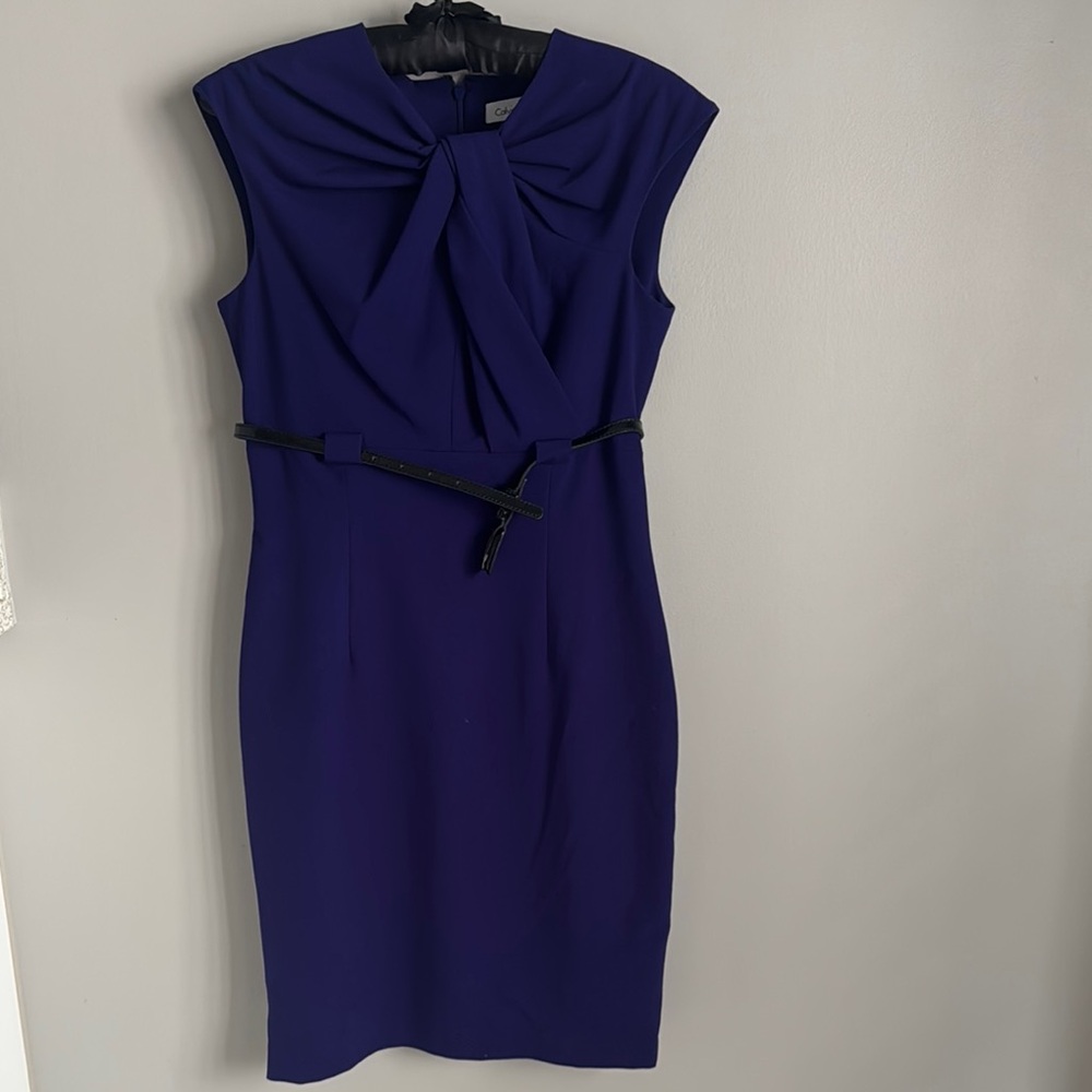 Elegant Purple Dress with Belt